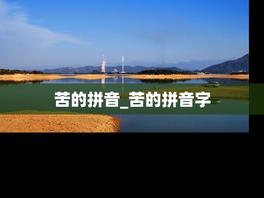 苦的拼音_苦的拼音字