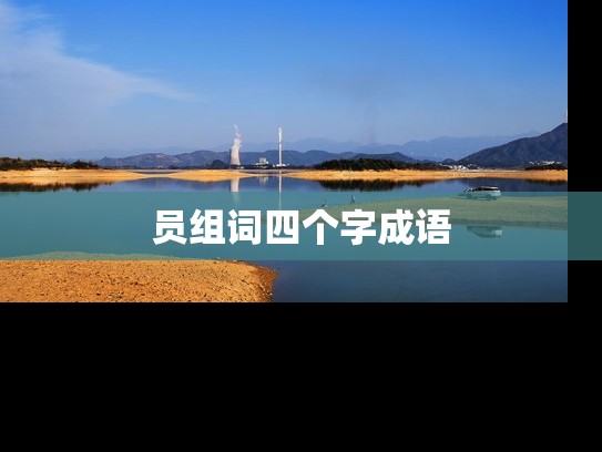 员组词四个字成语