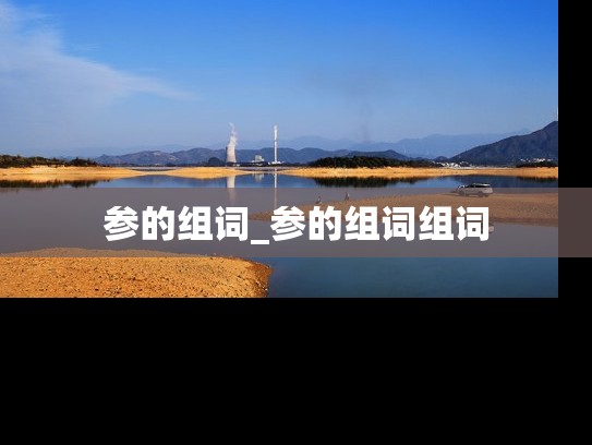 参的组词_参的组词组词