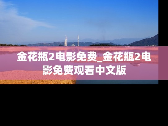 金花瓶2电影免费_金花瓶2电影免费观看中文版