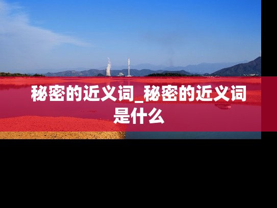 秘密的近义词_秘密的近义词是什么
