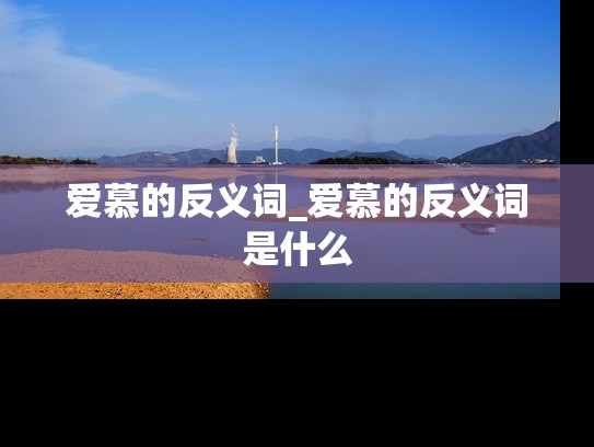 爱慕的反义词_爱慕的反义词是什么