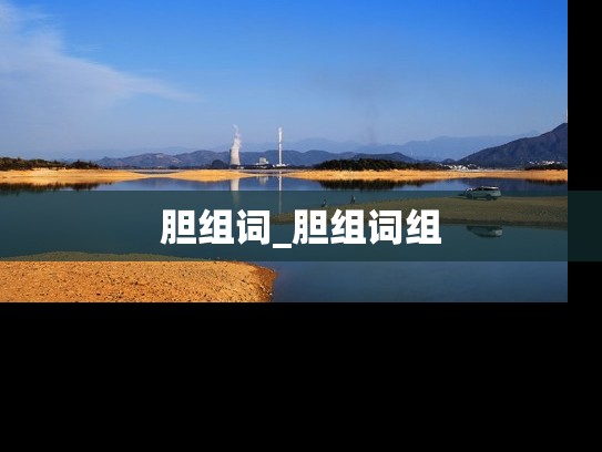 胆组词_胆组词组