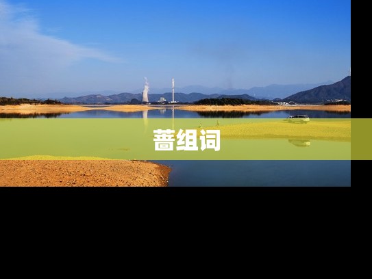 蔷组词