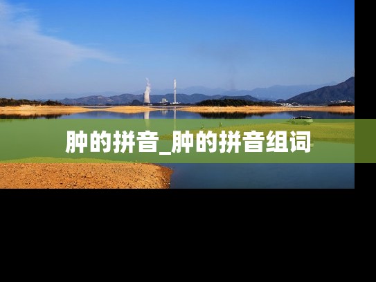 肿的拼音_肿的拼音组词