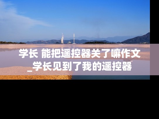 学长 能把遥控器关了嘛作文_学长见到了我的遥控器