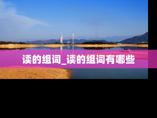 读的组词_读的组词有哪些