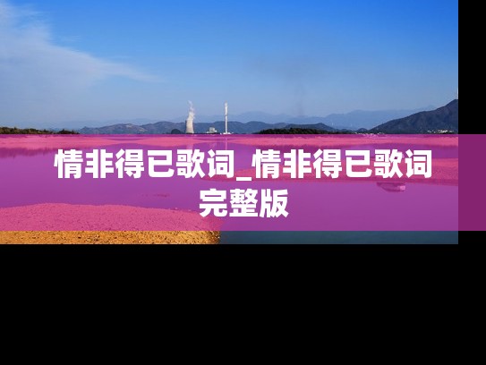 情非得已歌词_情非得已歌词完整版