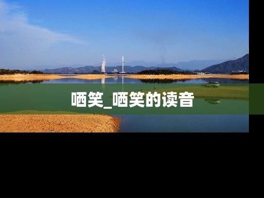 哂笑_哂笑的读音