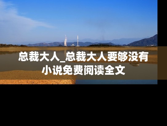 总裁大人_总裁大人要够没有小说免费阅读全文